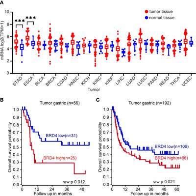 ARV-825 Demonstrates Antitumor Activity in Gastric Cancer via MYC-Targets and G2M-Checkpoint Signaling Pathways